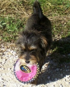 Max - One of my Greatest Teachers