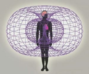 Energy Field of a Human Heart