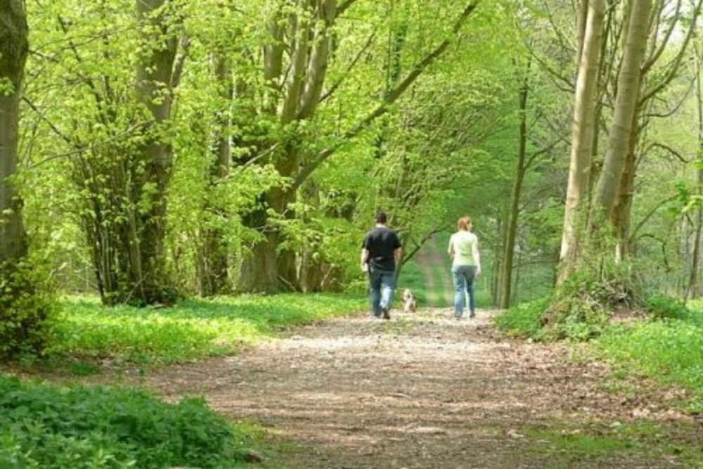 Walking is one of the best exercises for Fibromyalgia.