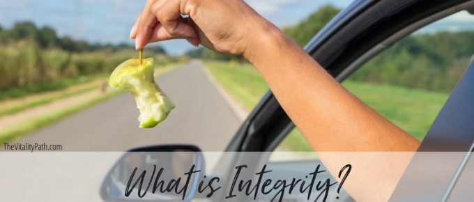 What is Integrity?