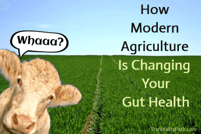 How modern agriculture is impacting your gut health.