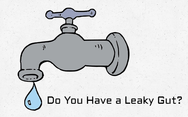 Do YOU have a Leaky Gut? Check out the symptoms - you might be surprised)