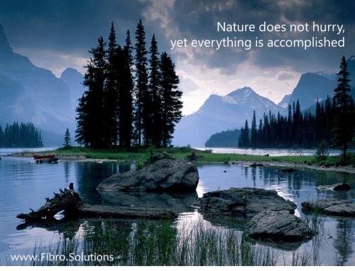 Nature does not hurry, yet everything is accomplished. Where do YOU draw the line? #boundaries #fibromyalgia