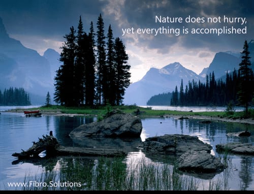 Nature does not hurry, yet everything is accomplished. Where do YOU draw the line? #boundaries #fibromyalgia